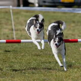 Foto van Floor Arensman