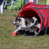 Foto van Floor Arensman