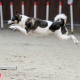 Foto van Floor Arensman