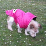 Speedy in haar jasje