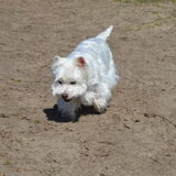 Foto van Nicole, Guus, Flynn & Puk
