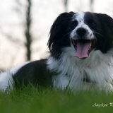 Foto van Angelique; Bruno, Charlie & Fenna