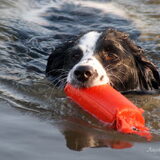 Foto van Angelique; Bruno, Charlie & Fenna