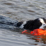 Foto van Angelique; Bruno, Charlie & Fenna