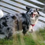 Foto van Angelique; Bruno, Charlie & Fenna