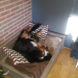 Foto van Cindy