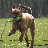 Foto van Moonske