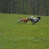 Foto van Sandra, Ozzie (overleden) Iris en Zoë