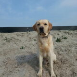 Foto van ..Nadine&Denzel..