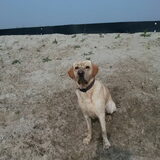 Foto van ..Nadine&Denzel..