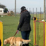 Foto van Lotte en Lola