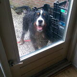 Foto van Cindy