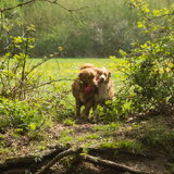 Foto van Luan en Lenne