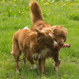 Foto van Luan en Lenne