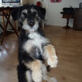 Foto van sophie