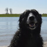 Foto van Vera met Abby & Cantor !