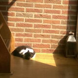 Foto van Cindy