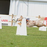 Foto van * Baasje Buddie met Anne*