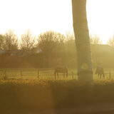 Foto van Eef en Tjibbe