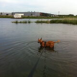 Foto van yooop