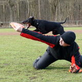 Foto van Eline, Gruul en Thalia