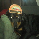 Bendith houd ook van cars !