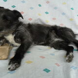 Foto van Harriet07