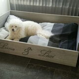 Foto van ~ Luna & Lèxi ~