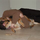 Foto van Dennis&Inge-Bram&Dewan en ???