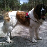 Foto van Coby & Wanda en Mathilde
