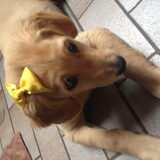 Foto van Lotte en Lola