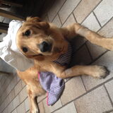 Foto van Lotte en Lola