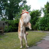 Foto van L&R