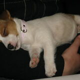 oooooh ze was zo moe ma toch zo lief