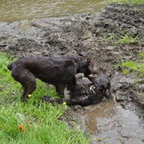 Foto van Marion Brenneke