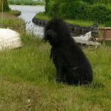 Foto van sylvia