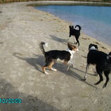 samen wandelen