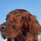 Hee, dit is zomer, Summertime Lady!