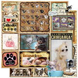 Foto van Kennel Moor Beauty Chihuahua