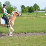 Foto van Dutchshepherdteam