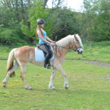 Foto van Dutchshepherdteam