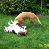 Foto van Manja