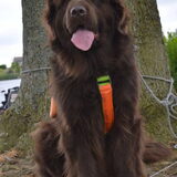Foto van Jeanine :)