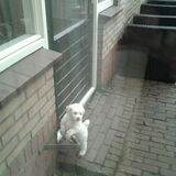 Foto van ~ Luna & Lèxi ~