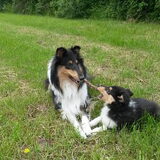 Foto van ~ Luna & Lèxi ~