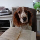 hier leest Indy een boek, hihi