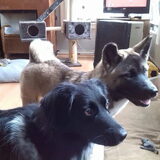 Foto van Jackie en Kiba:)