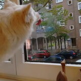 Foto van anja met Bobby(r.i.p. 25-9-25)