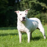 fotoshoot gratis gekregen van een lieve onbekende!
