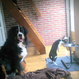 Foto van Cindy